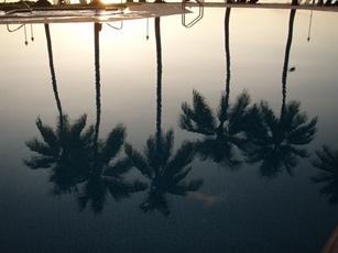 JALチャーター便で行く二度目のパラオ「4・5日目-PPRビーチ~帰国」