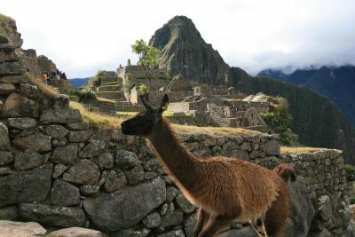 湯めぐりペルー　マチュピチュ編