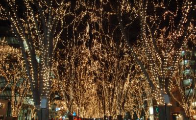 そういえば昨年になりますが…。