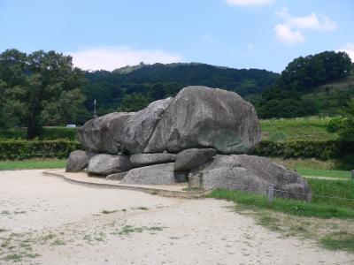 たまには飛鳥に