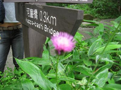 2006夏　上高地・高山マイナスイオンで癒される旅＃穂高荘 いいやま御苑
