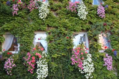 【続編】きらめく、ラインガウの小さな村々