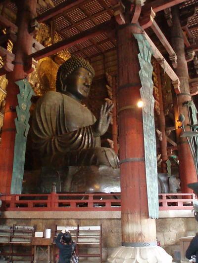 18年ぶりの大仏さん