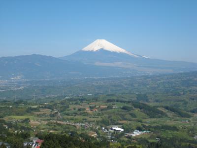 静岡//まぼろしの沖縄。トホホな休日