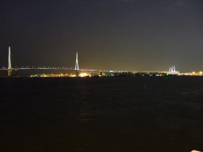 海の横のホーム／海芝浦駅　裏から眺める横浜港〈夜〉
