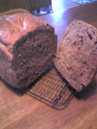 旅行じゃないけど・・・