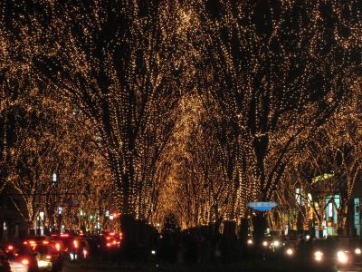 出張ついでに楽しむ、煌くSENDAI光のページェント