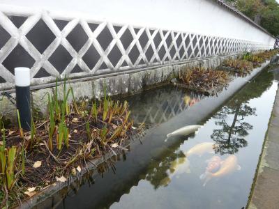 2008年12月　岡山・広島・山口・島根旅行　その４：島根県