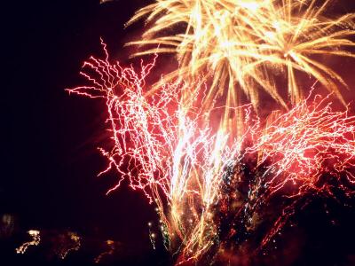 咲き乱れる花火