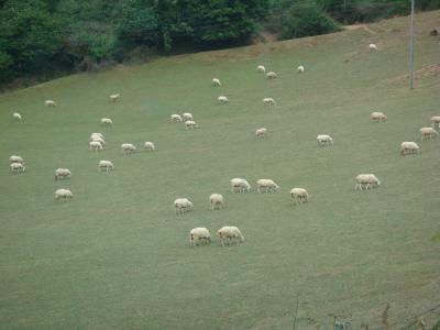 バスク地方＋α　ドライブ＋美食の旅③
