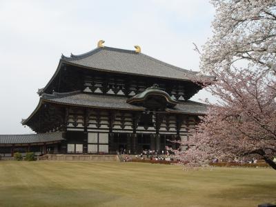 春・桜・奈良公園・東大寺