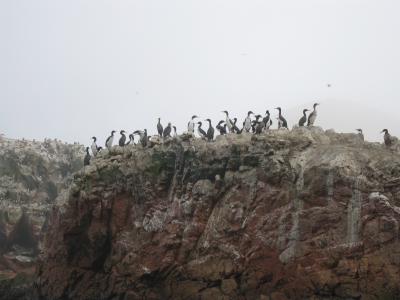 ２００９　ペルー旅行　９日目