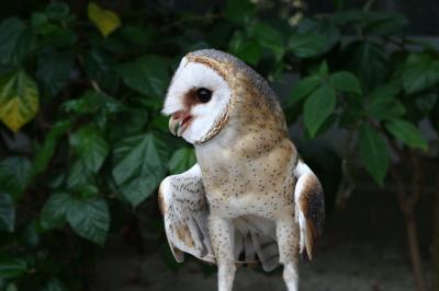 ｢掛川・花鳥園とうなぎ三昧＆蒲郡競艇初心者教室」