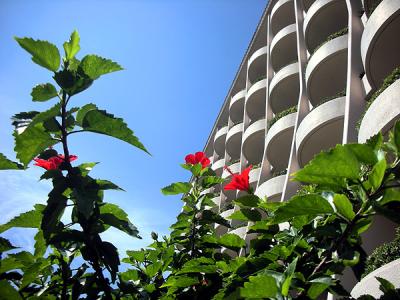 行く夏を惜しむ旅 in 今井浜東急リゾート