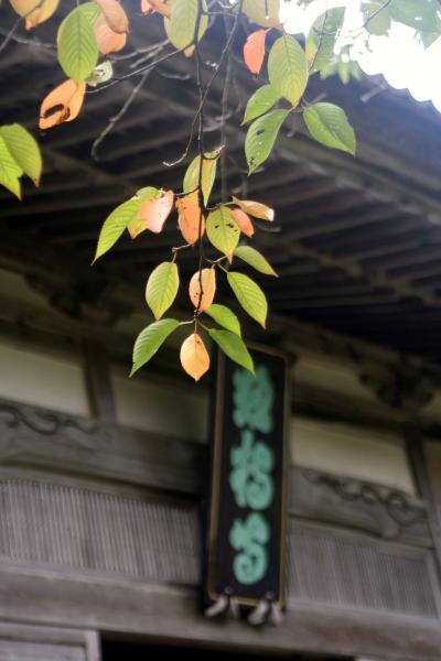 ひとり旅 ［597］ ３４年前の想い出をさがして「總持寺祖院を訪ねる」石川県輪島市