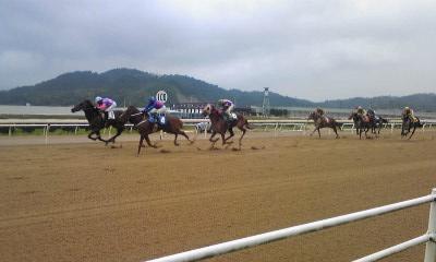 福山競馬場～競馬場うろうろ　０９年８月