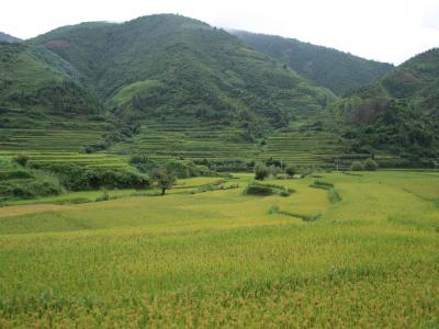 花腰イ族に会いたい【10】～おまけ　龍朋から峨山、玉渓、昆明へ～