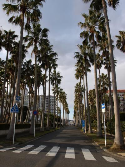 日帰りショートトリップ第２弾・逗子編