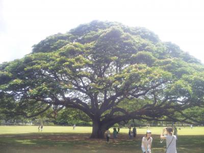 SALEハワイ7日間でリフレッシュ！！①