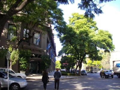 ブエノスアイレスの旅　★ パレルモ編　その1 ★