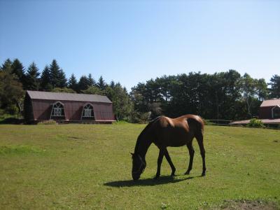 SW　清里旅行記1/3　サイクリング♪編