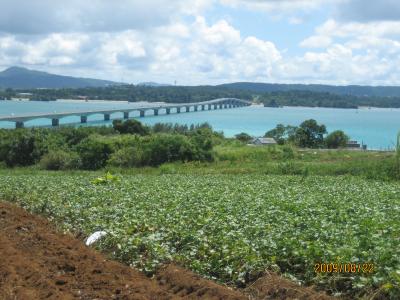 2009年夏・大好き☆４回目の沖縄旅行