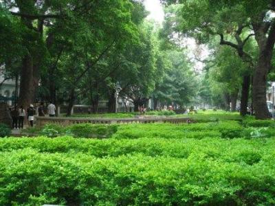 なかなか行かない広州