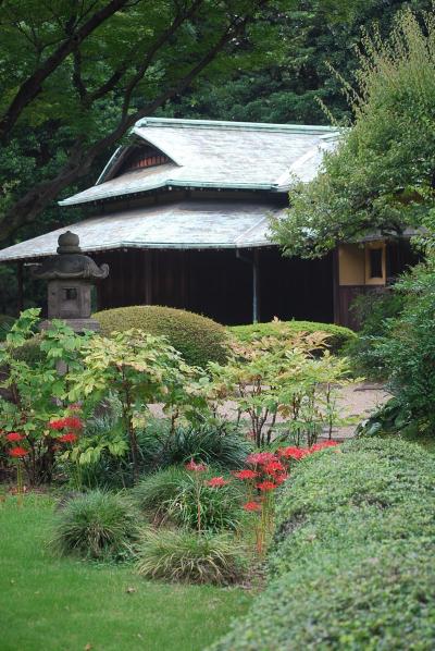 久しぶりに東御苑を訪問する②諏訪の茶屋～本丸跡～富士見櫓～百人番所