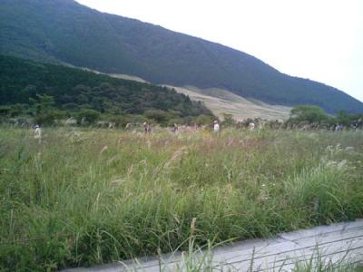 シルバーウィークの箱根・仙石原～湿生花園篇～