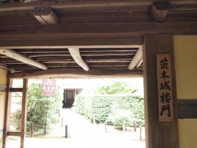 茨木城門を追って大和郡山・慈光院へ
