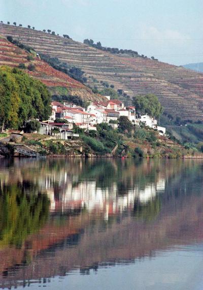 ポルトガル縦断の旅（12）ポルトを飲みながら錦秋のドウロ川をボートで遡り、アルト・ドウロでポルトワインを買い求める。
