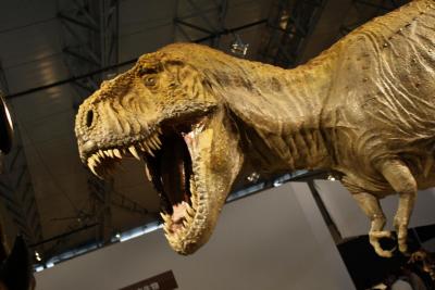 恐竜2009