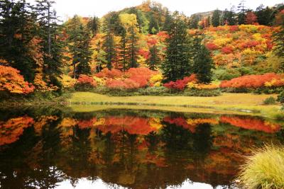 2009.9 日本一早い紅葉「大雪山」を歩く①～高原温泉・沼巡りコース