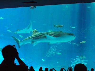 【沖縄】　2泊3日の新婚旅行