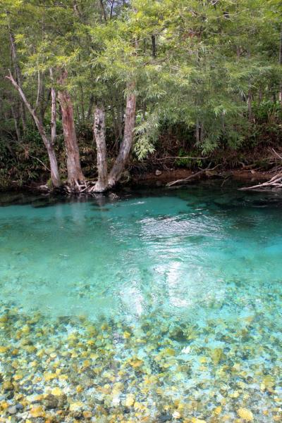 初秋の上高地へ(大正池～河童橋～明神池)