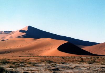 ナミビア（ナミブ砂漠）