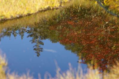 紅葉の始まった栂池自然園へ～　1日目