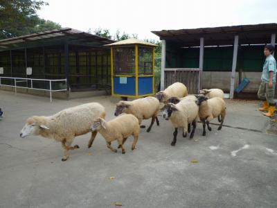 宇都宮☆『宇都宮動物園』’09