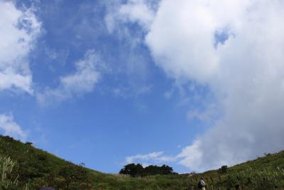 初秋　お花がいっぱい伊吹山