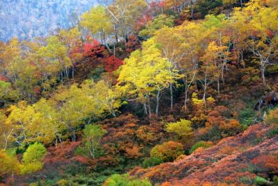 日本一の紅葉～大雪高原温泉・沼めぐり・その２～