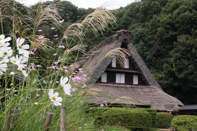 里の秋：川崎日本民家園