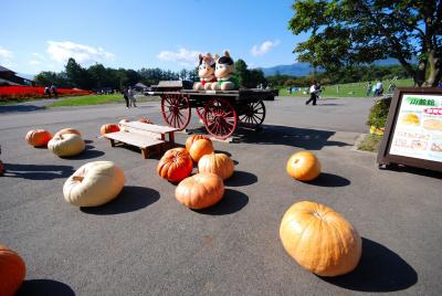 岩手県の旅　～小岩井農場～