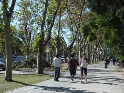 ブエノスアイレスの旅　★ パレルモ編　その2 ★