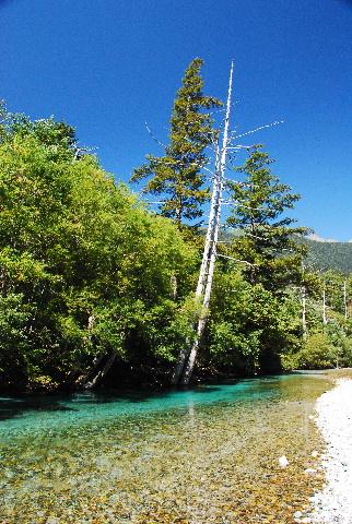 ぶらりとお散歩『素晴らしき上高地』