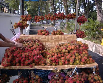 2000-2002 マレーシア　Penang