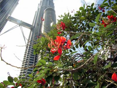 マレーシア（クアラルンプール、キャメロンハイランド）、シンガポール