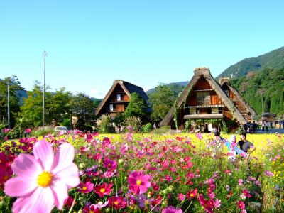 S.W.名古屋・岐阜旅行！　～２日目白川郷編～