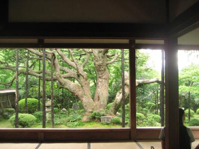 −−【京都】宝泉院の額縁庭園＠大原
