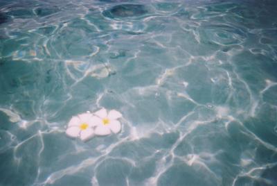 2009グアム3泊4日旅行⑤