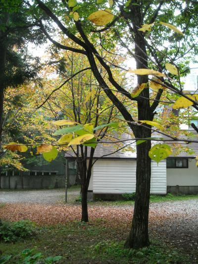 一足早い秋を感じながら、山岳リゾート満喫♪IN白馬東急ホテル